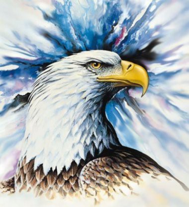 Definição do Instituto Genius